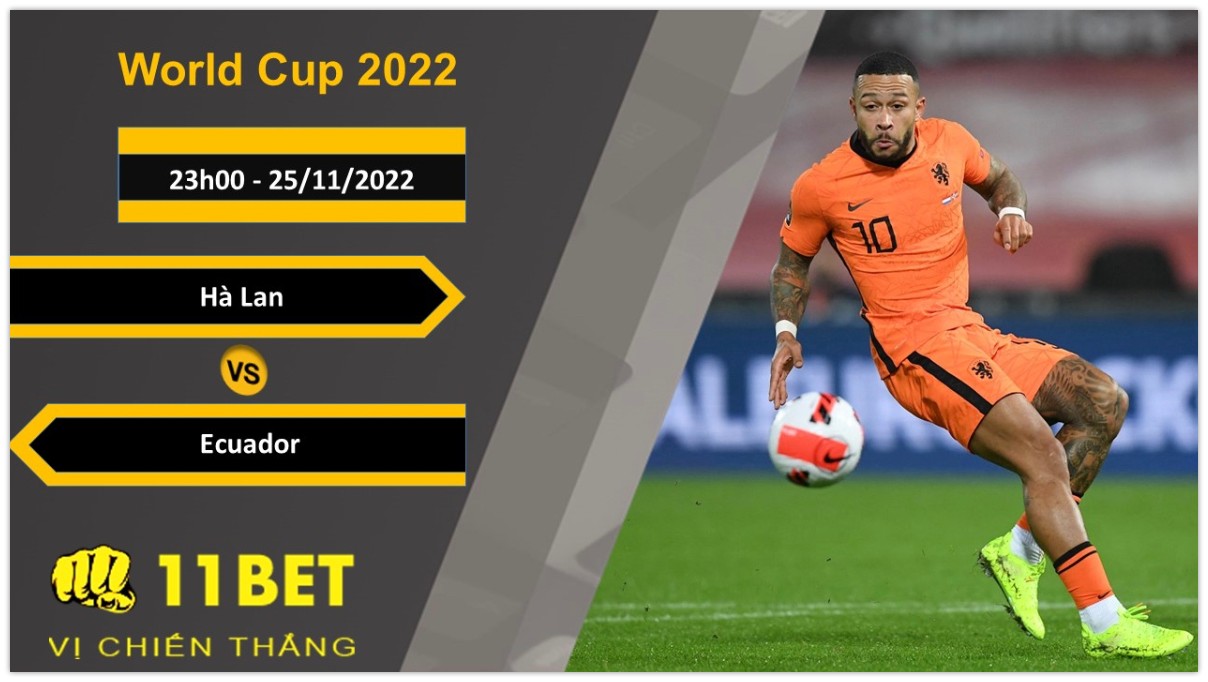 11BET Soi kèo Hà Lan vs Ecuador, 23h00, 25/11/2022